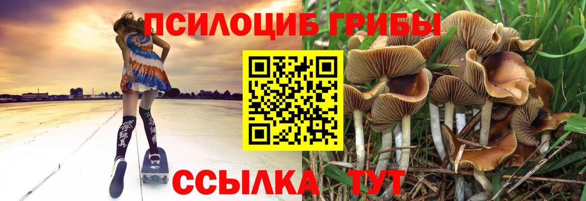 Домодедово  Галлюциногенные грибы MAGIC MUSHROOMS  Галлюциногенные грибы Magic Shrooms  Вход с VPN 